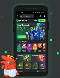 Nigeria BC.Game Bet The Rise of Online Gaming in Nigeria