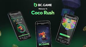 Exploring the BC.Game Mobile App Your Gateway to Online Gaming