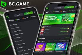 Comprehensive Guide to BC.Game Bonus Terms and Conditions 568240113